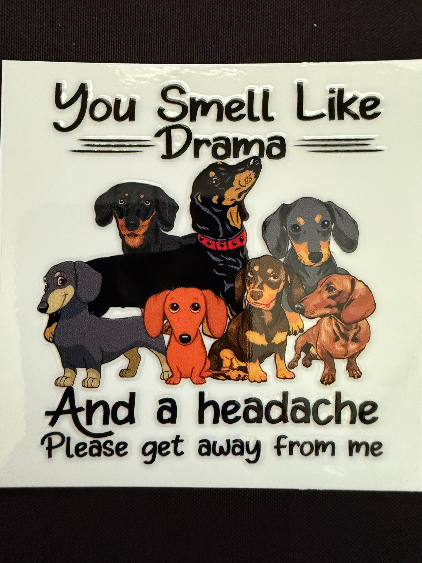 Funny Dachshund Decal