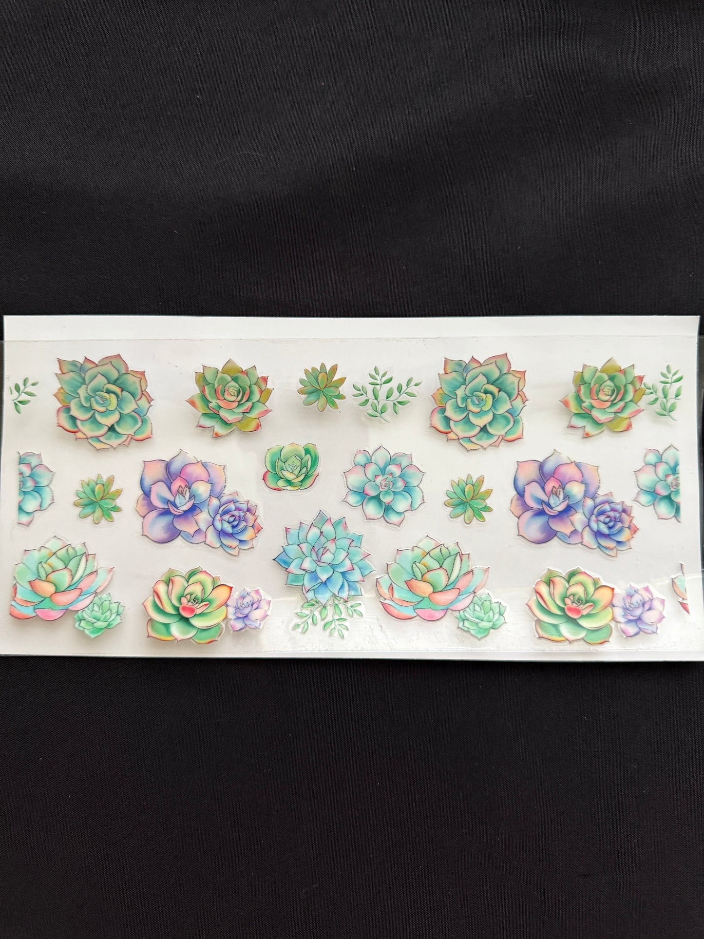 Succulent Theme Tumbler Wrap