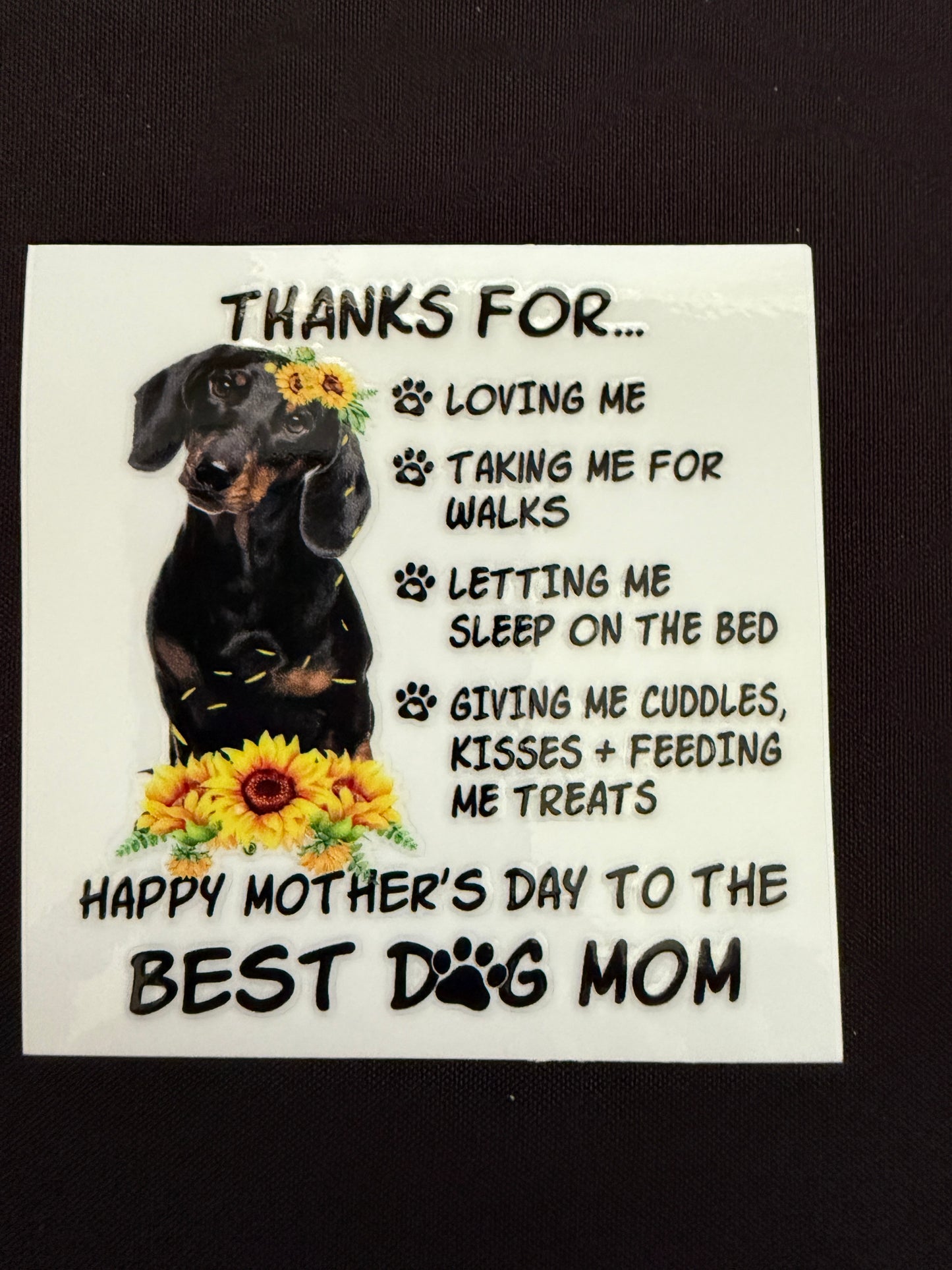 Funny Dachshund Decal