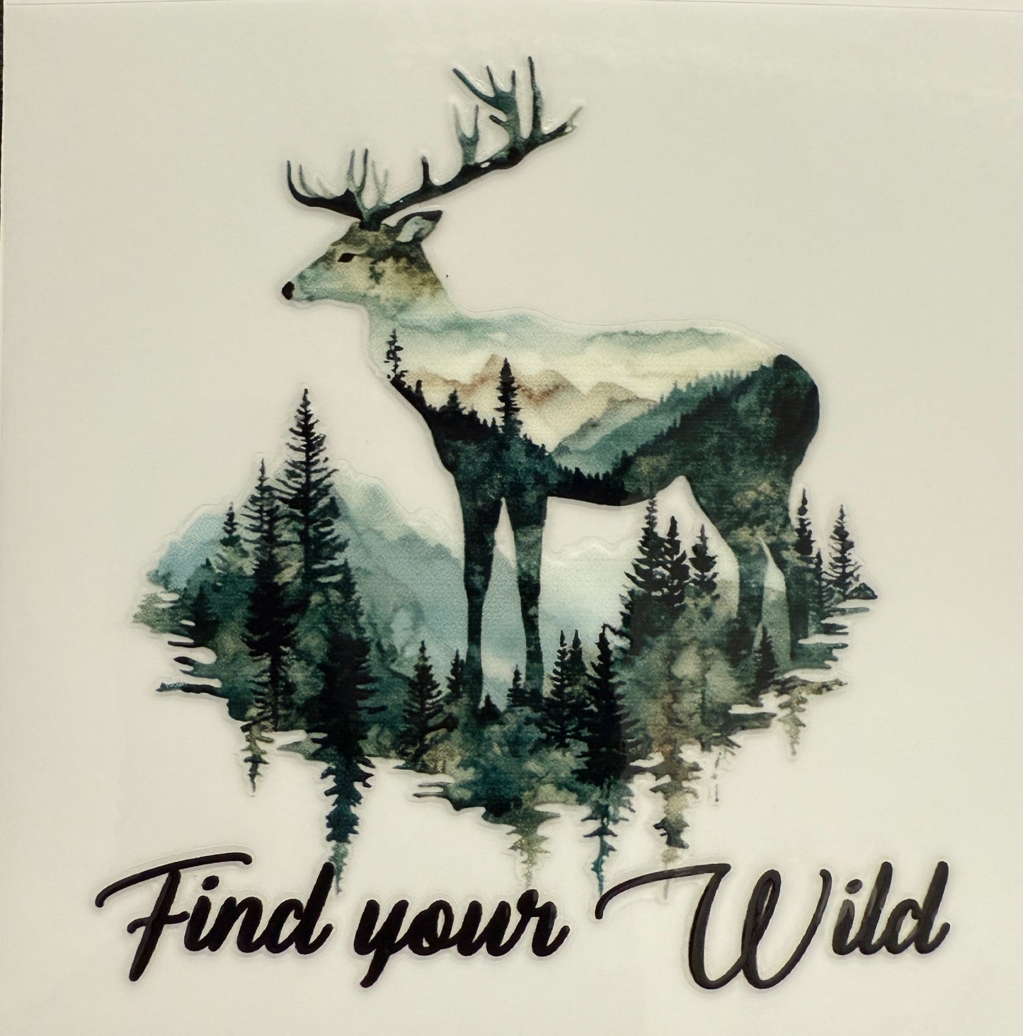 “Find Your Wild” Decal