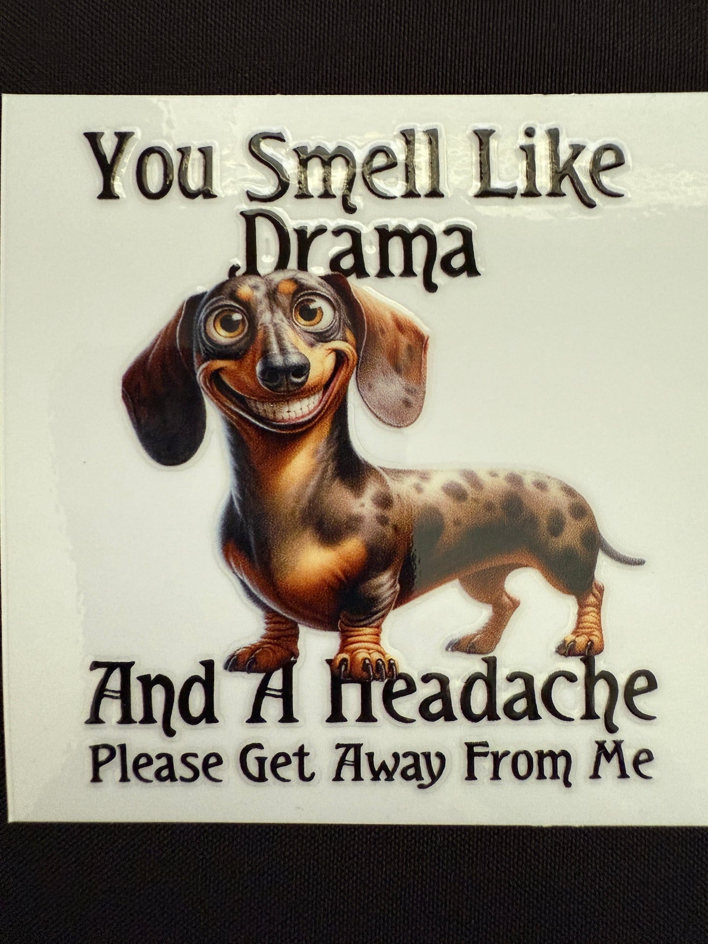 Funny Dachshund Decal