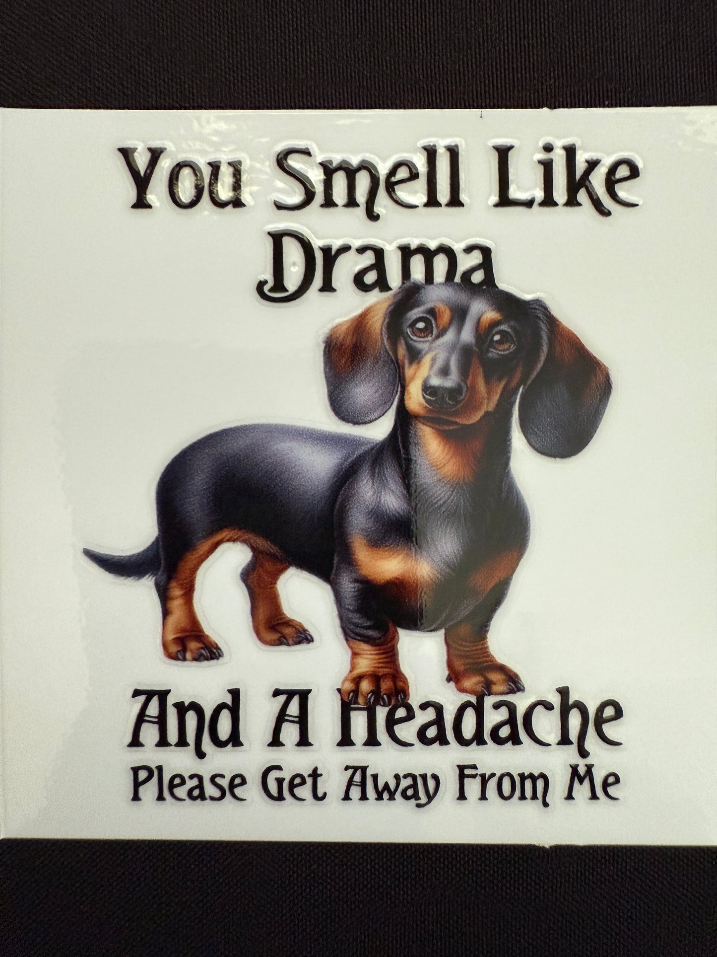 Funny Dachshund Decal