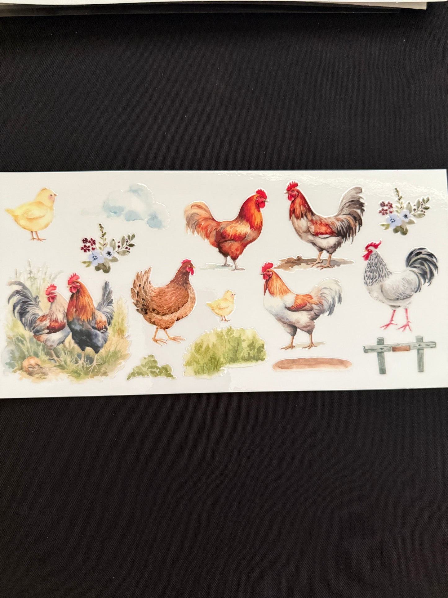 Chicken Themed Wrap