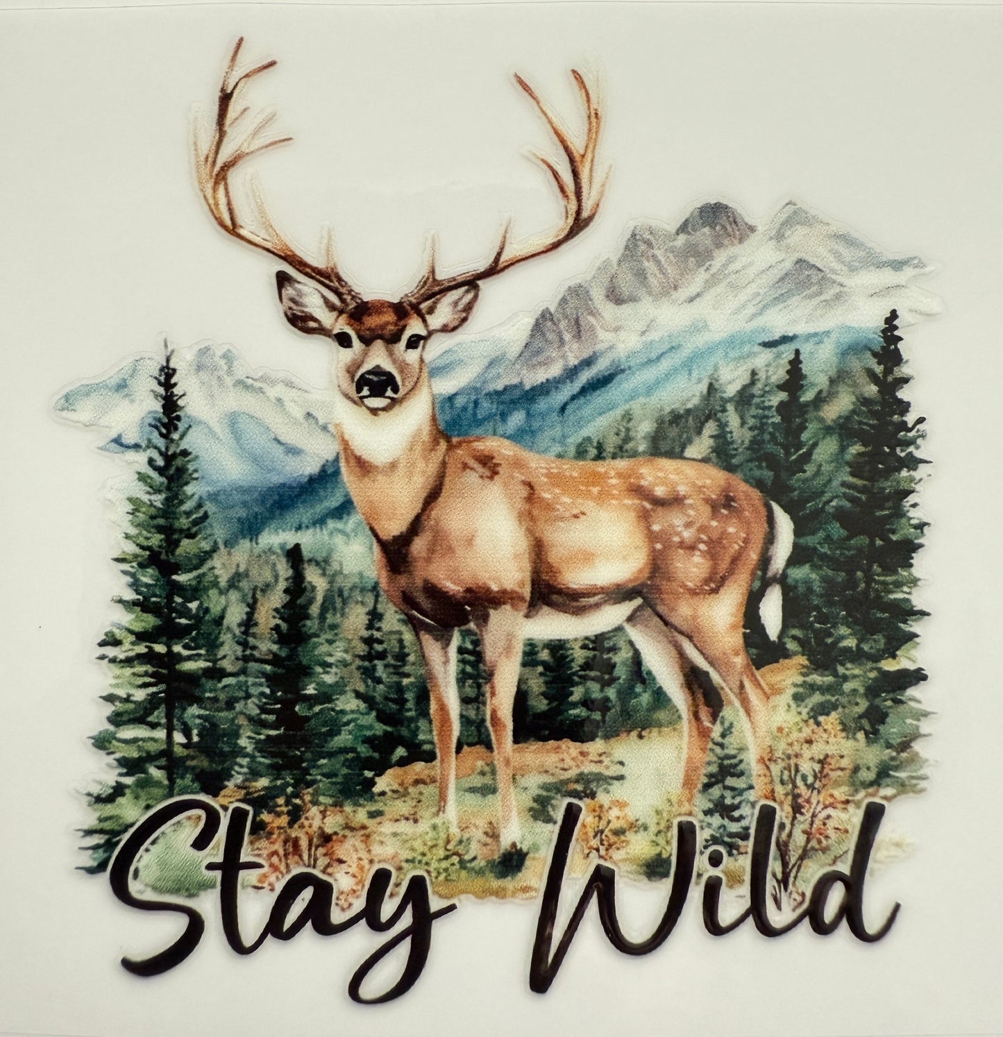 “Stay Wild” Decal