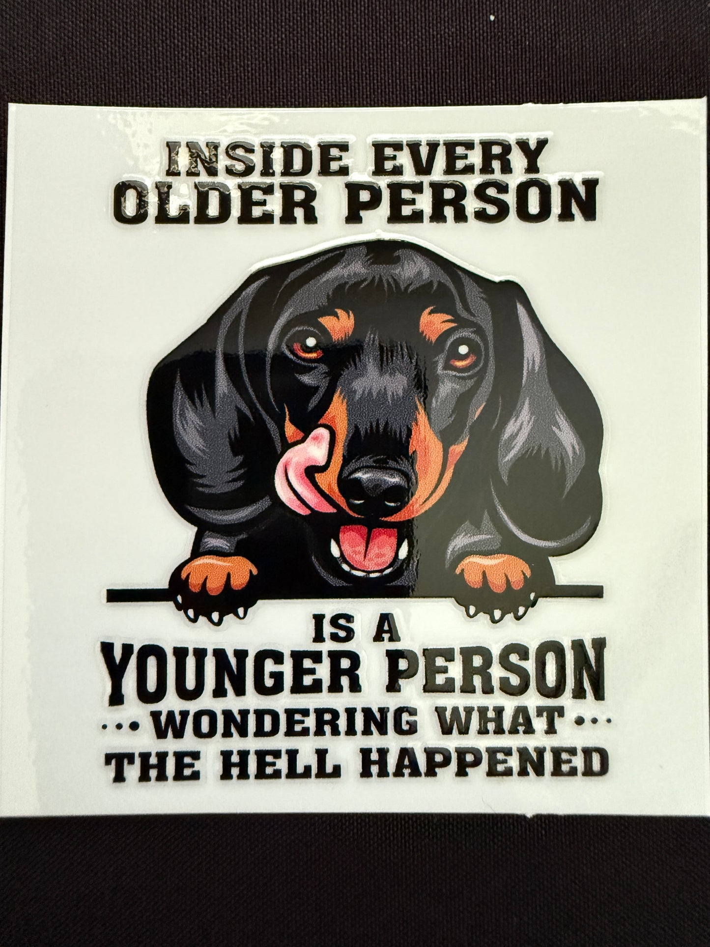Funny Dachshund Decal