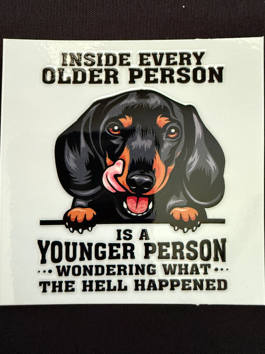 Funny Dachshund Decal