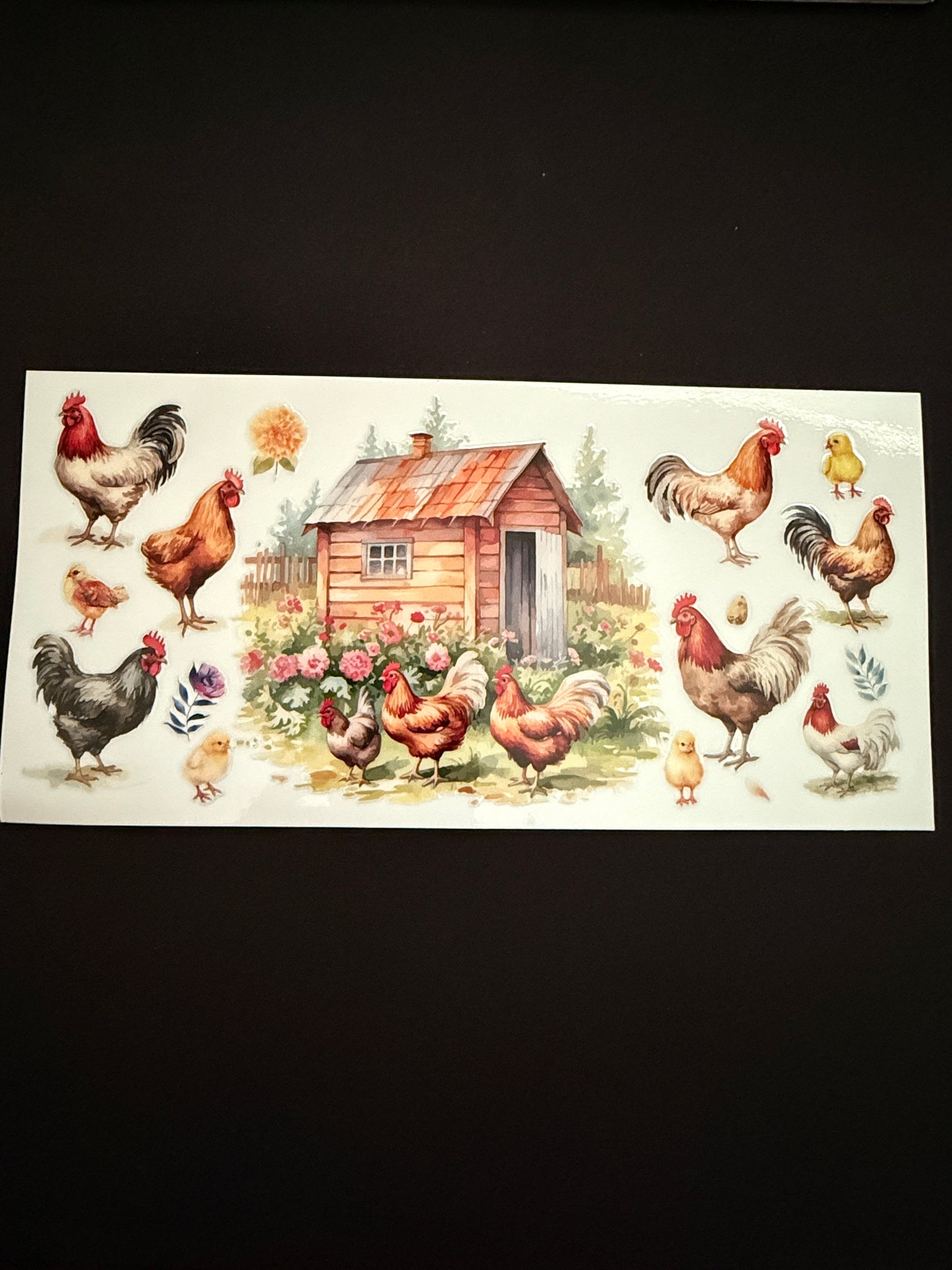 Chicken Themed Wrap